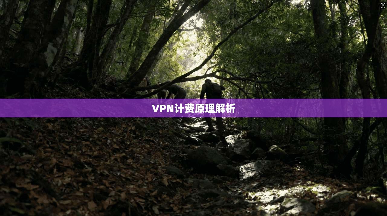 VPN计费原理解析