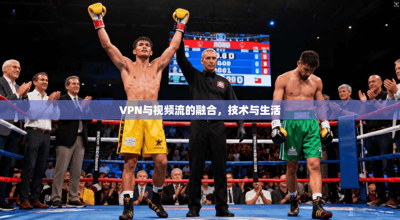 VPN与视频流的融合,技术与生活