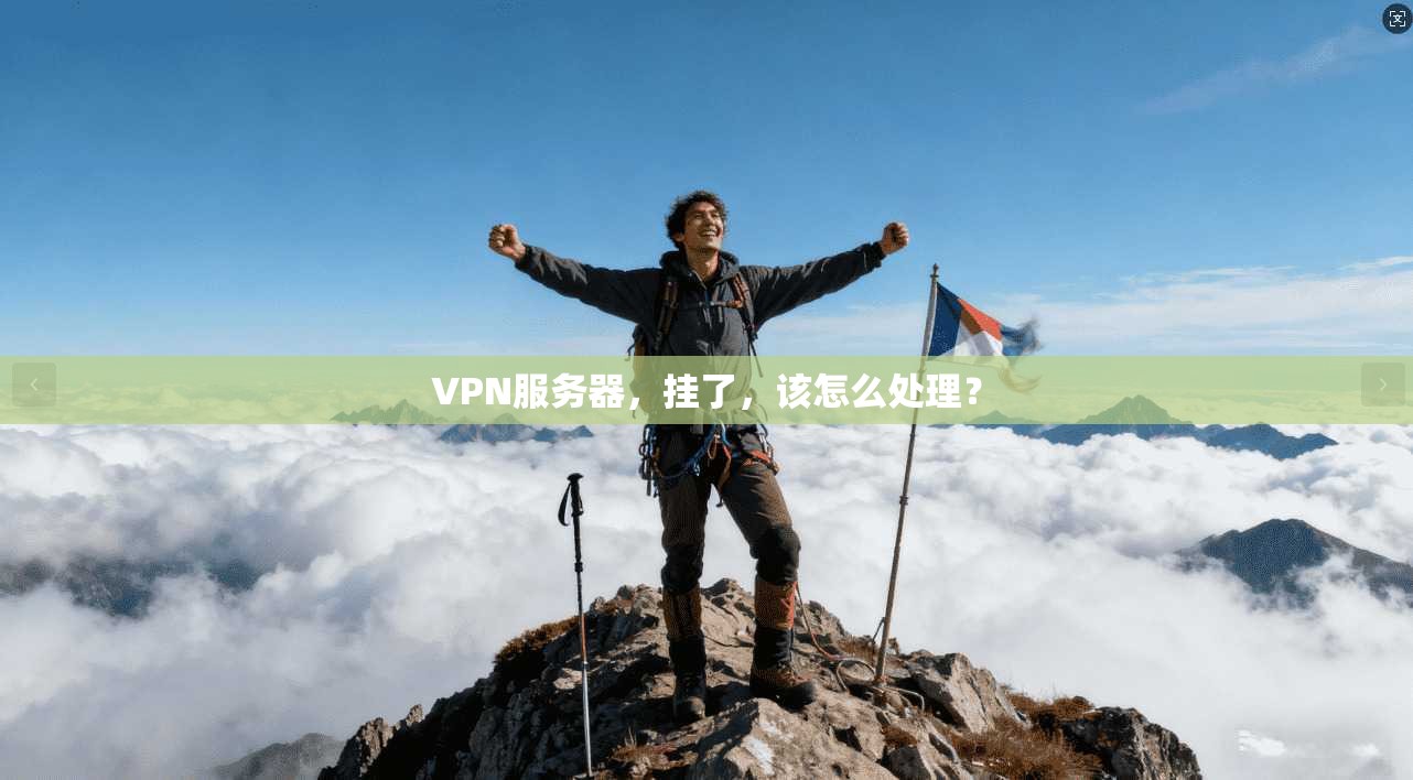 VPN服务器，挂了，该怎么处理？