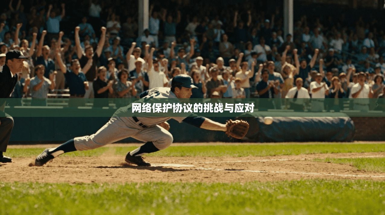 网络保护协议的挑战与应对