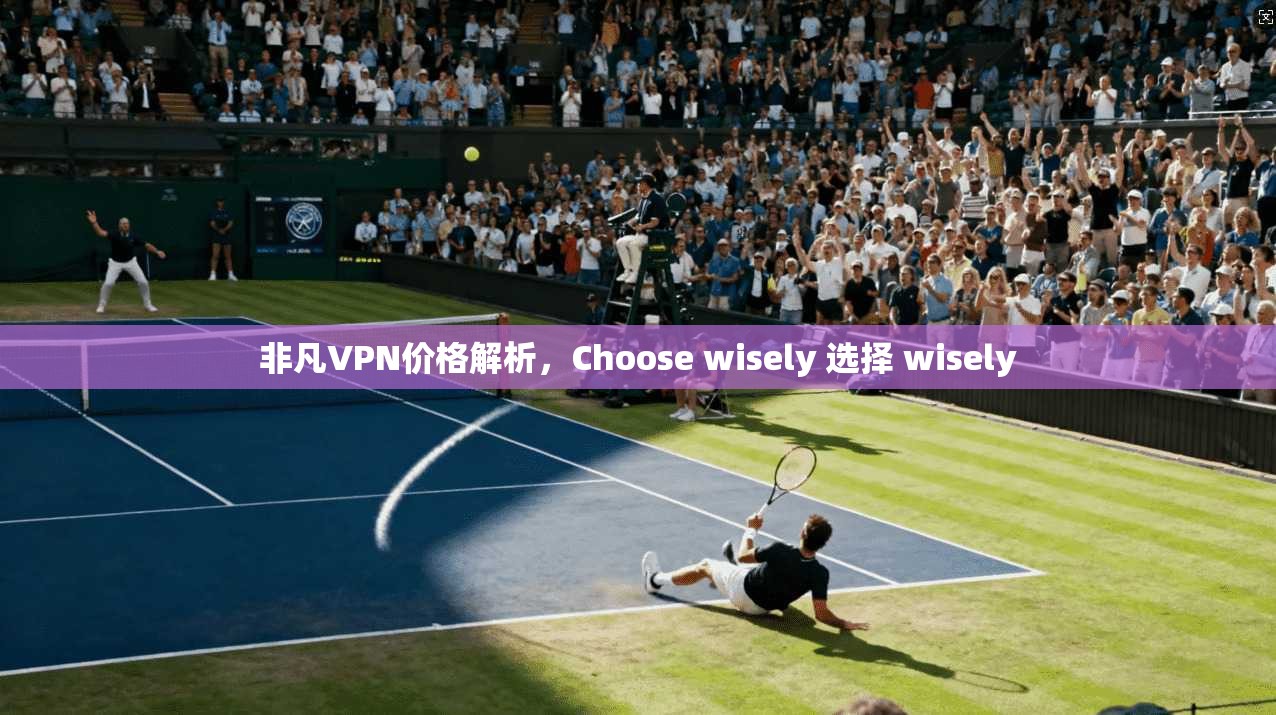 非凡VPN价格解析，Choose wisely 选择 wisely