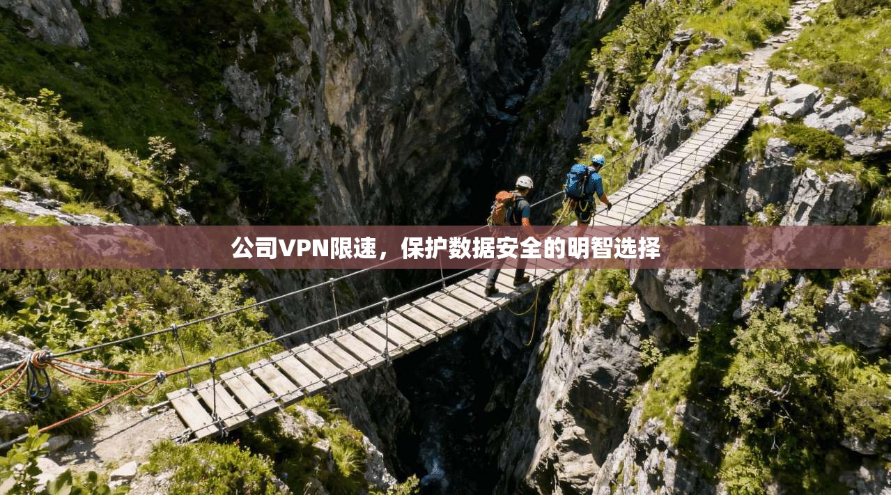 公司VPN限速，保护数据安全的明智选择