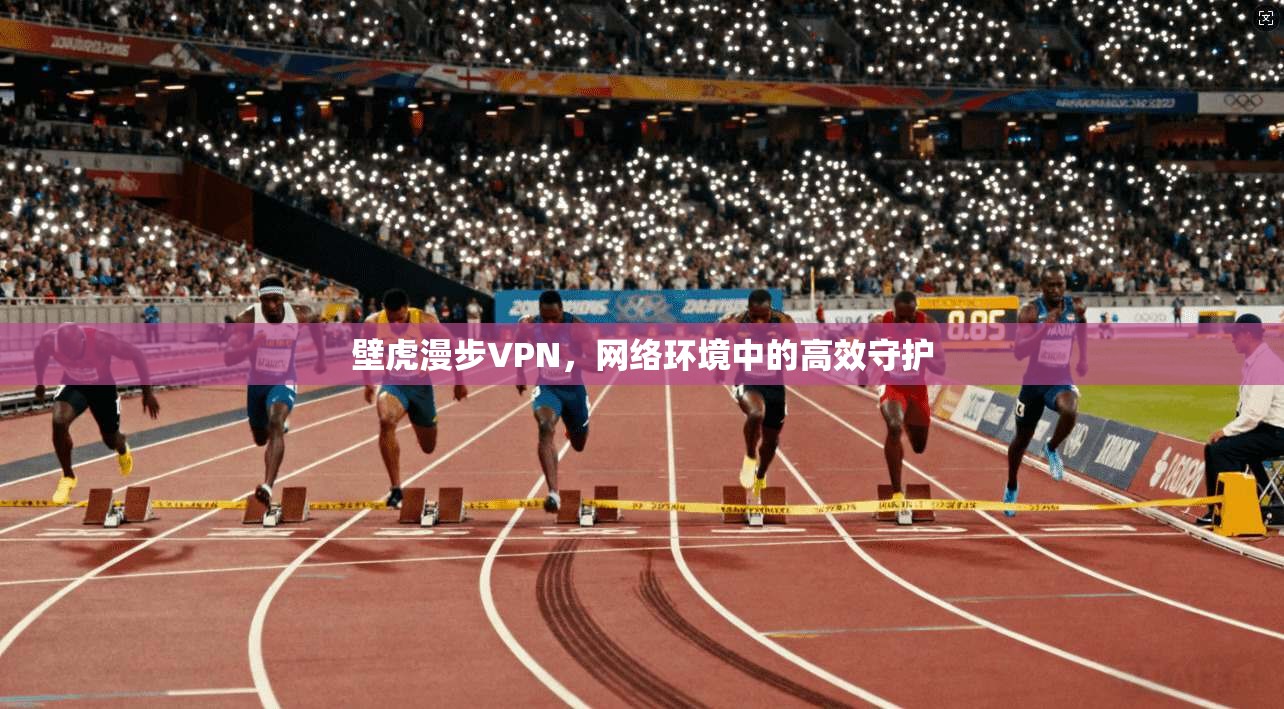 壁虎漫步VPN，网络环境中的高效守护