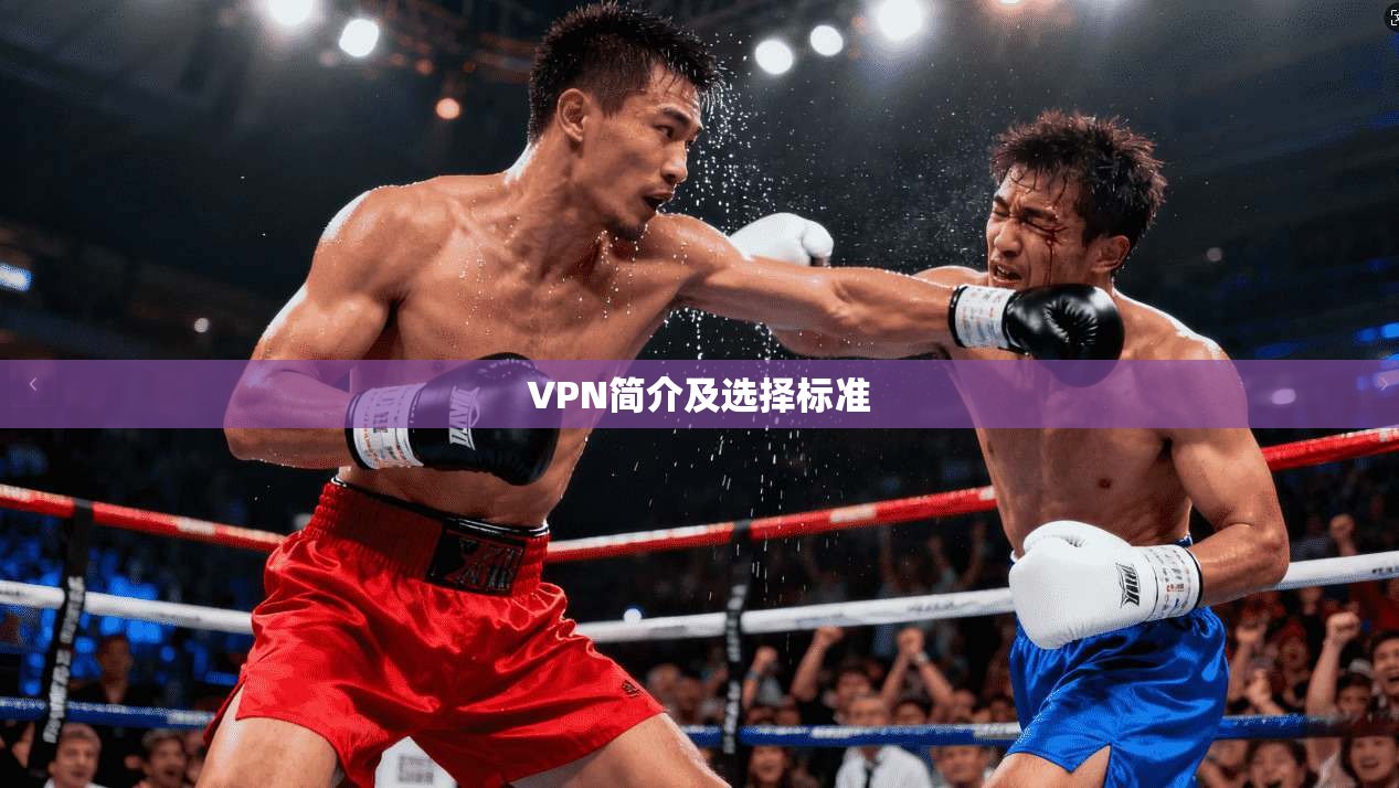VPN简介及选择标准