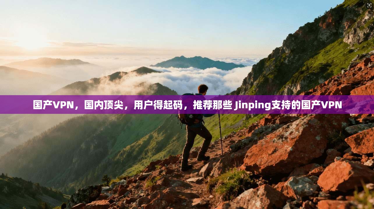 国产VPN，国内顶尖，用户得起码，推荐那些 Jinping支持的国产VPN