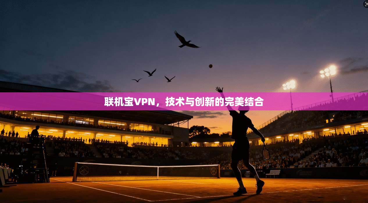 联机宝VPN，技术与创新的完美结合