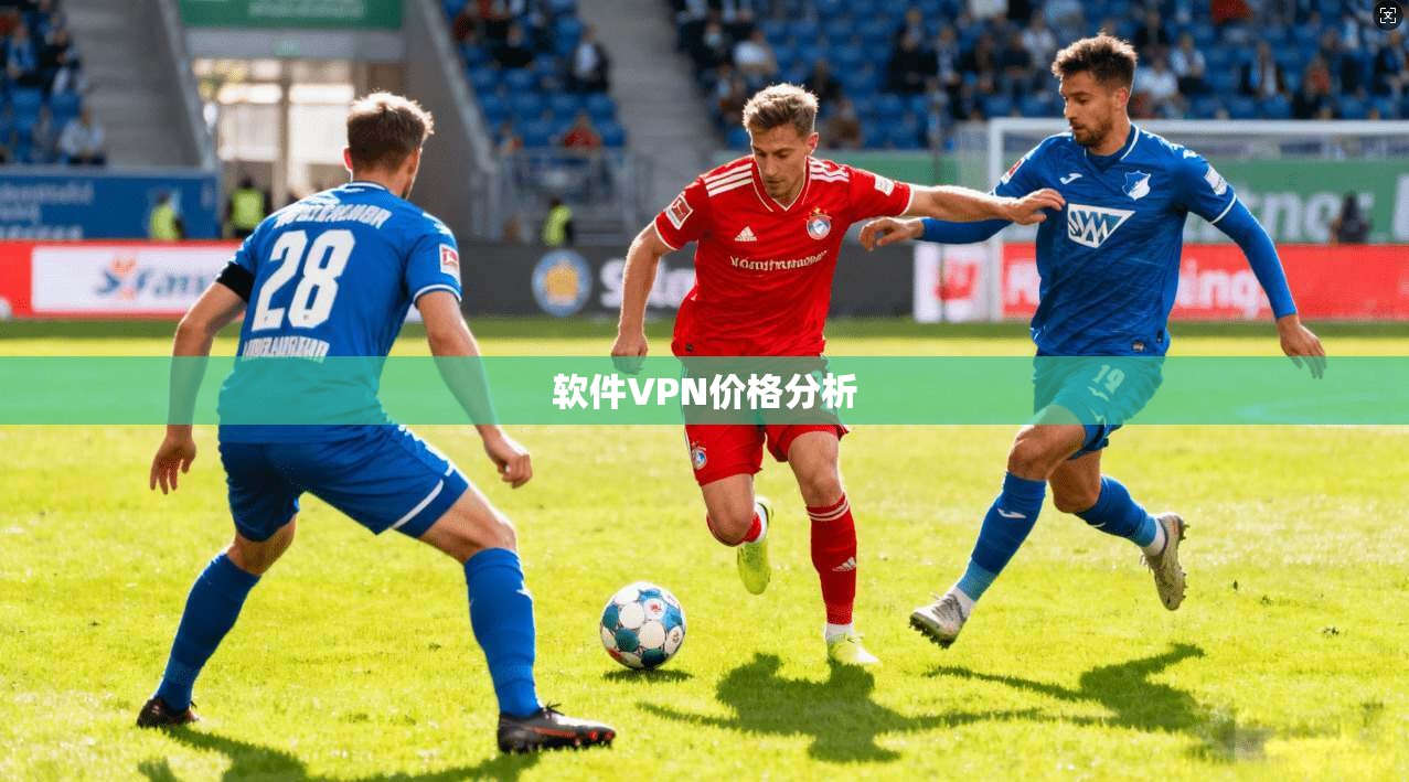 软件VPN价格分析
