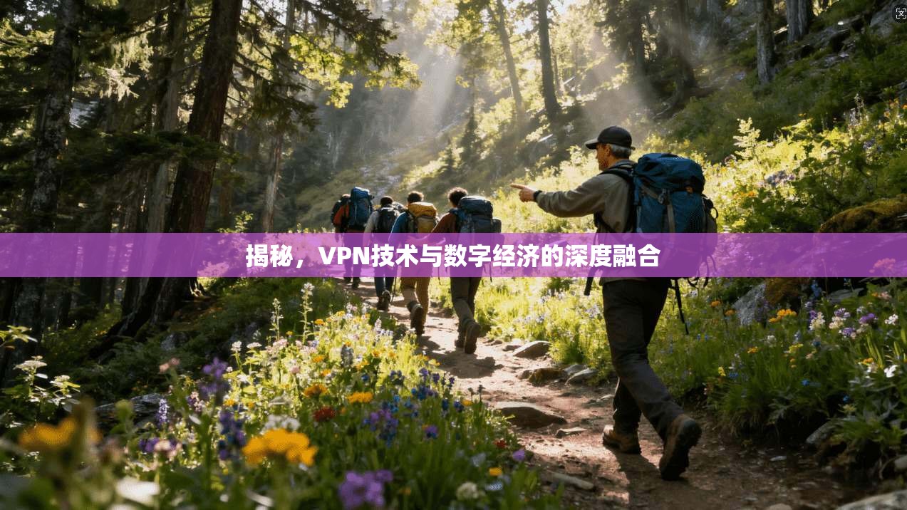 揭秘，VPN技术与数字经济的深度融合