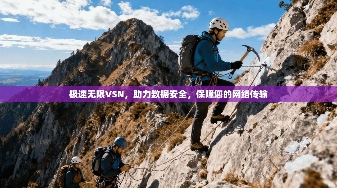极速无限VSN，助力数据安全，保障您的网络传输