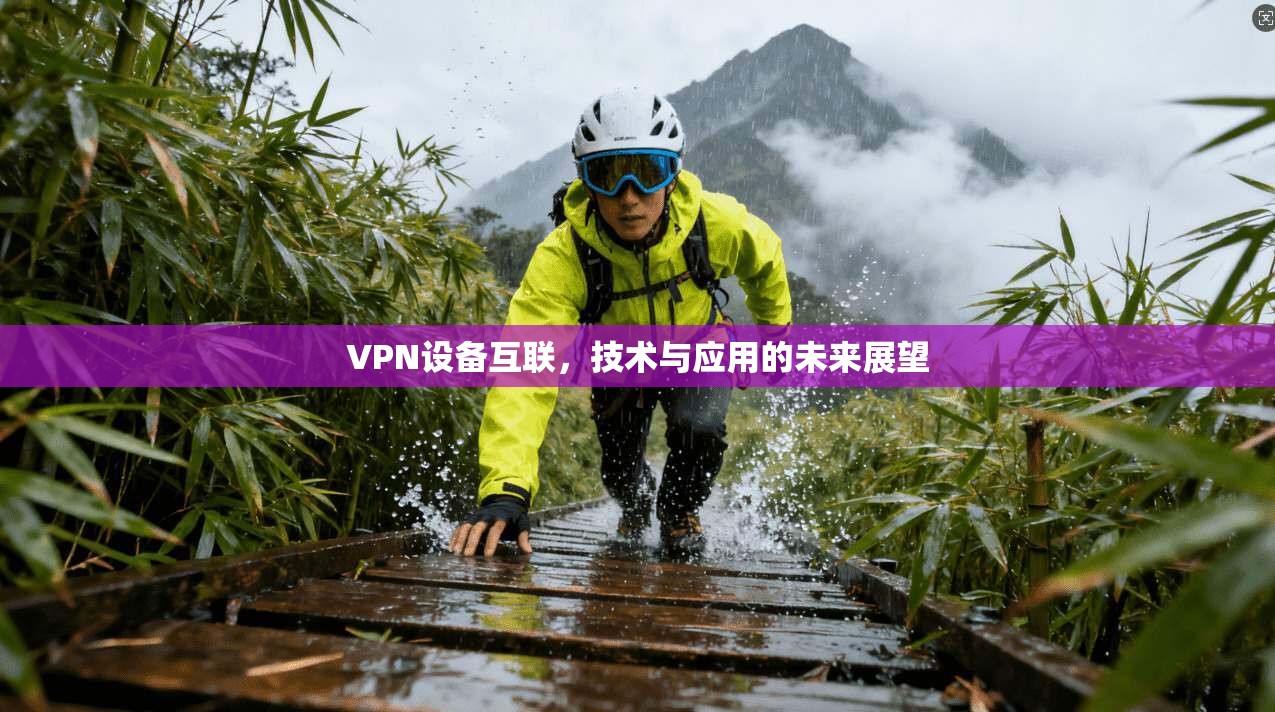 VPN设备互联,技术与应用的未来展望
