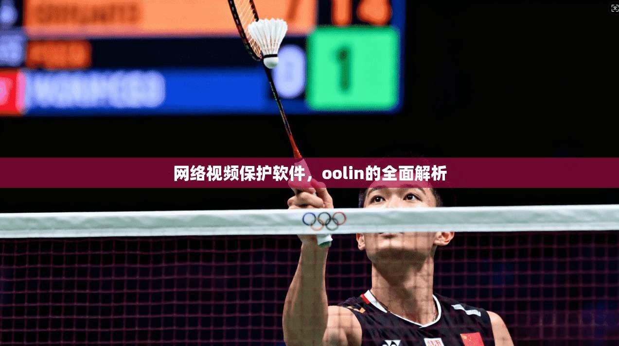 网络视频保护软件，oolin的全面解析
