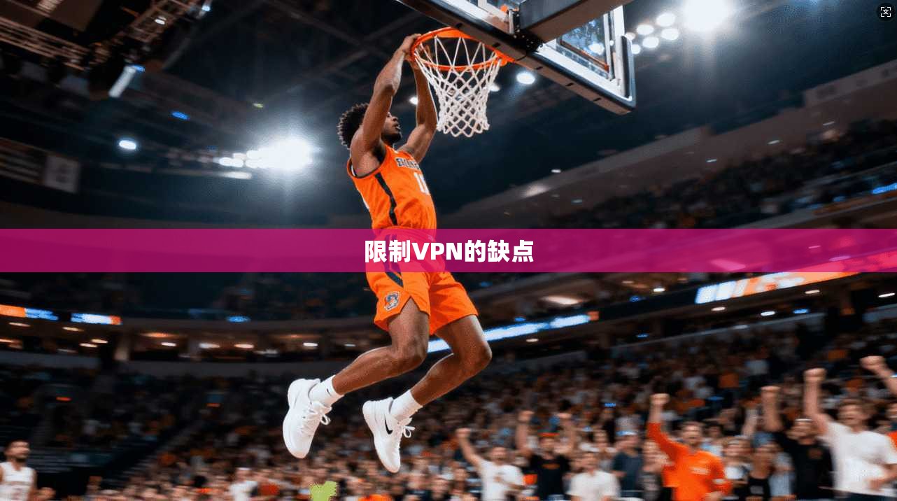限制VPN的缺点