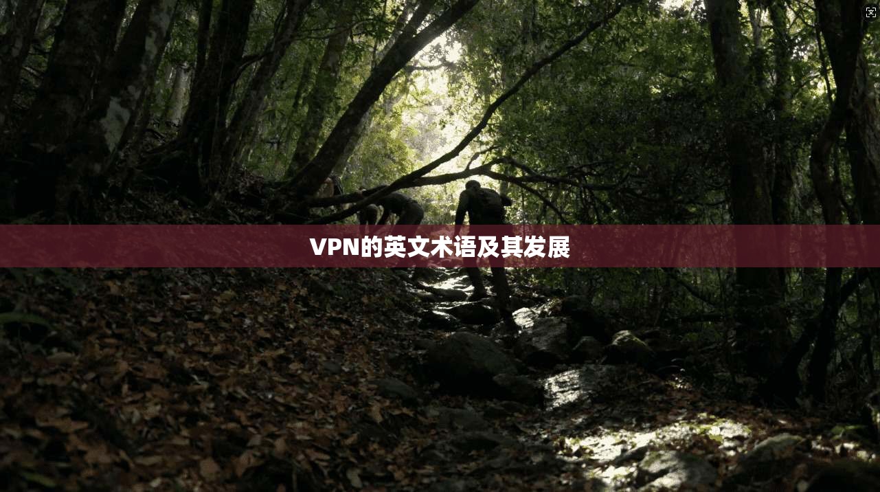 VPN的英文术语及其发展