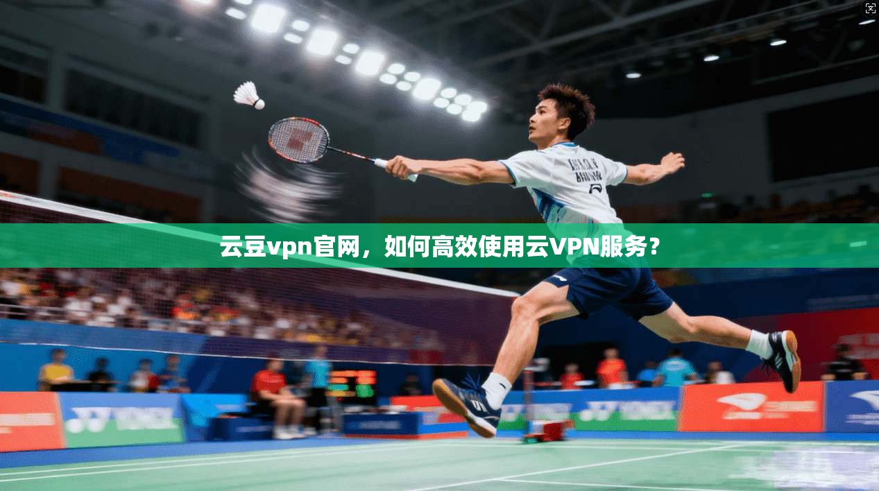 云豆vpn官网,如何高效使用云VPN服务?