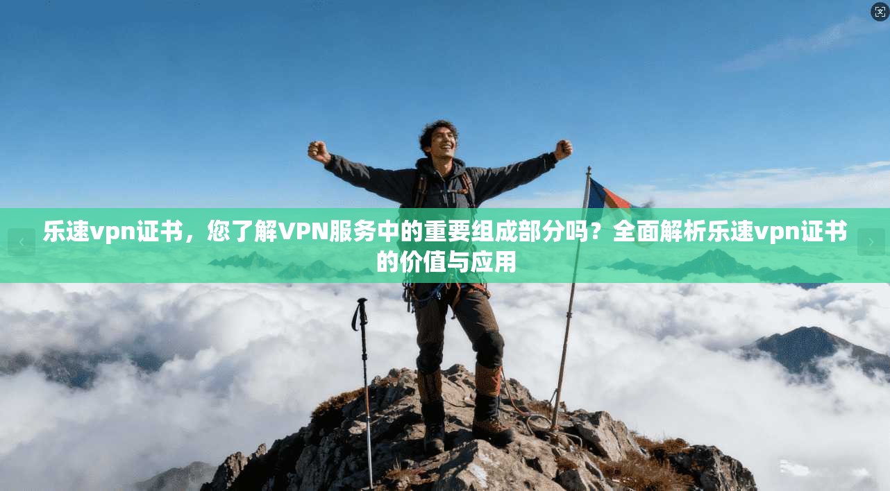 乐速vpn证书，您了解VPN服务中的重要组成部分吗？全面解析乐速vpn证书的价值与应用