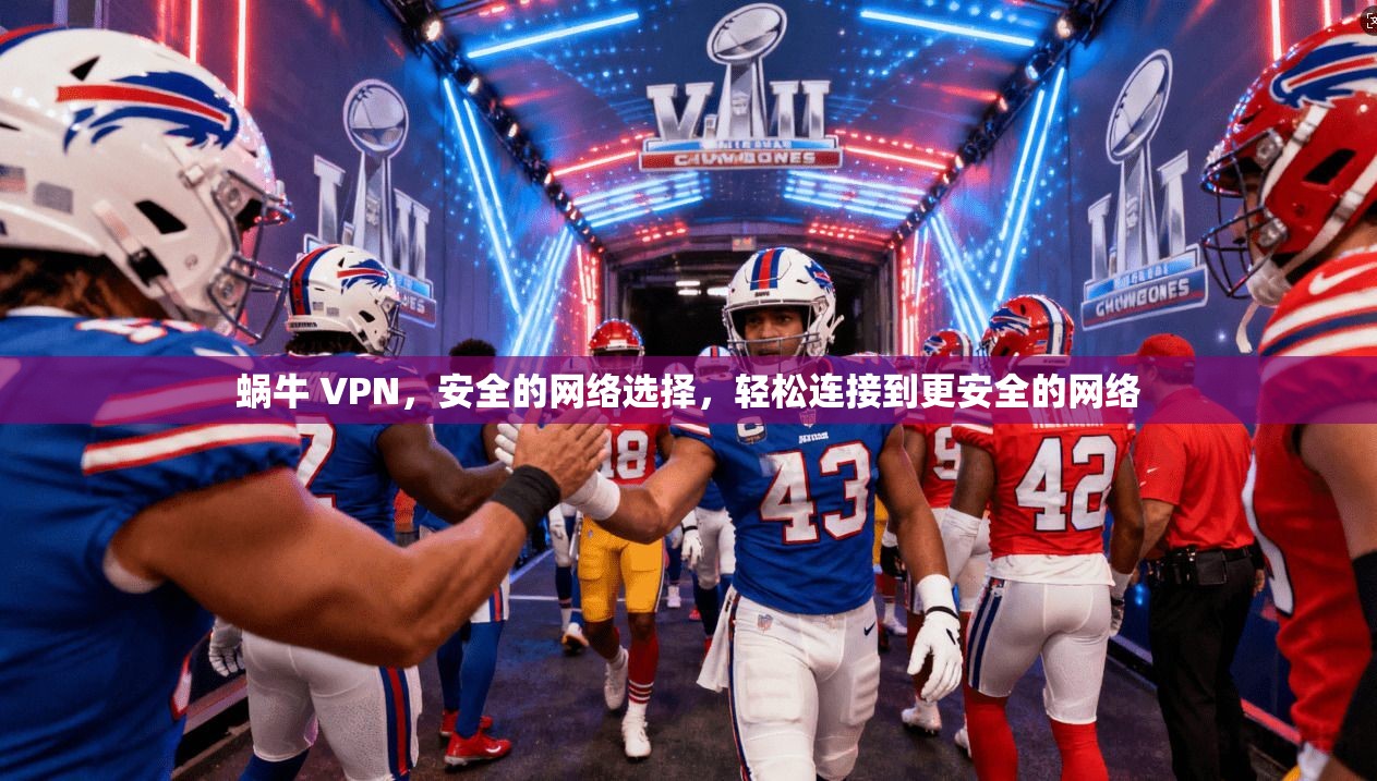 蜗牛 VPN,安全的网络选择,轻松连接到更安全的网络