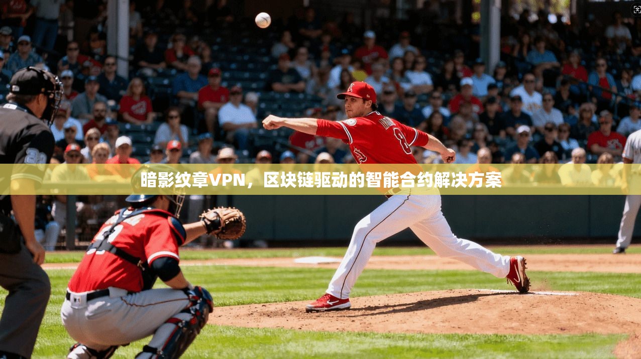 暗影纹章VPN,区块链驱动的智能合约解决方案