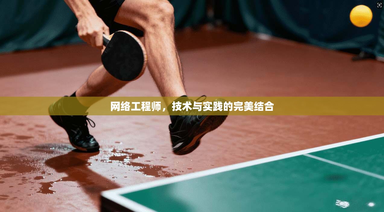 网络工程师,技术与实践的完美结合