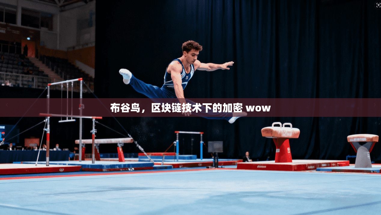 布谷鸟,区块链技术下的加密 wow