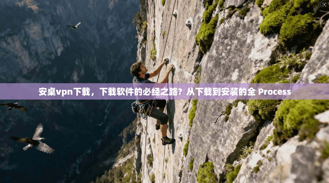 安桌vpn下载，下载软件的必经之路？从下载到安装的全 Process