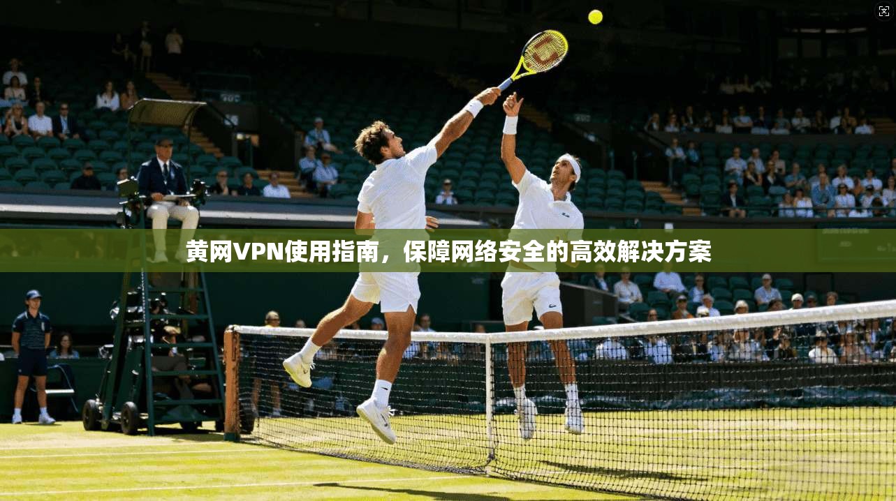 黄网VPN使用指南，保障网络安全的高效解决方案