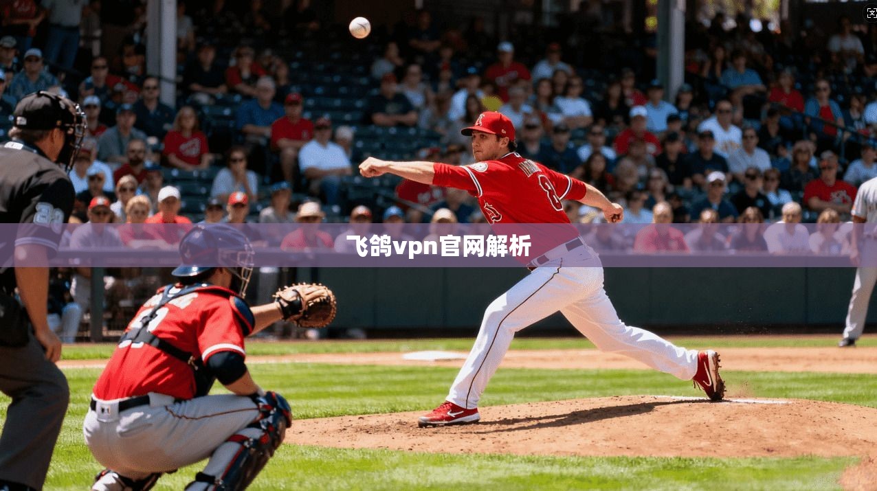 飞鸽vpn官网解析