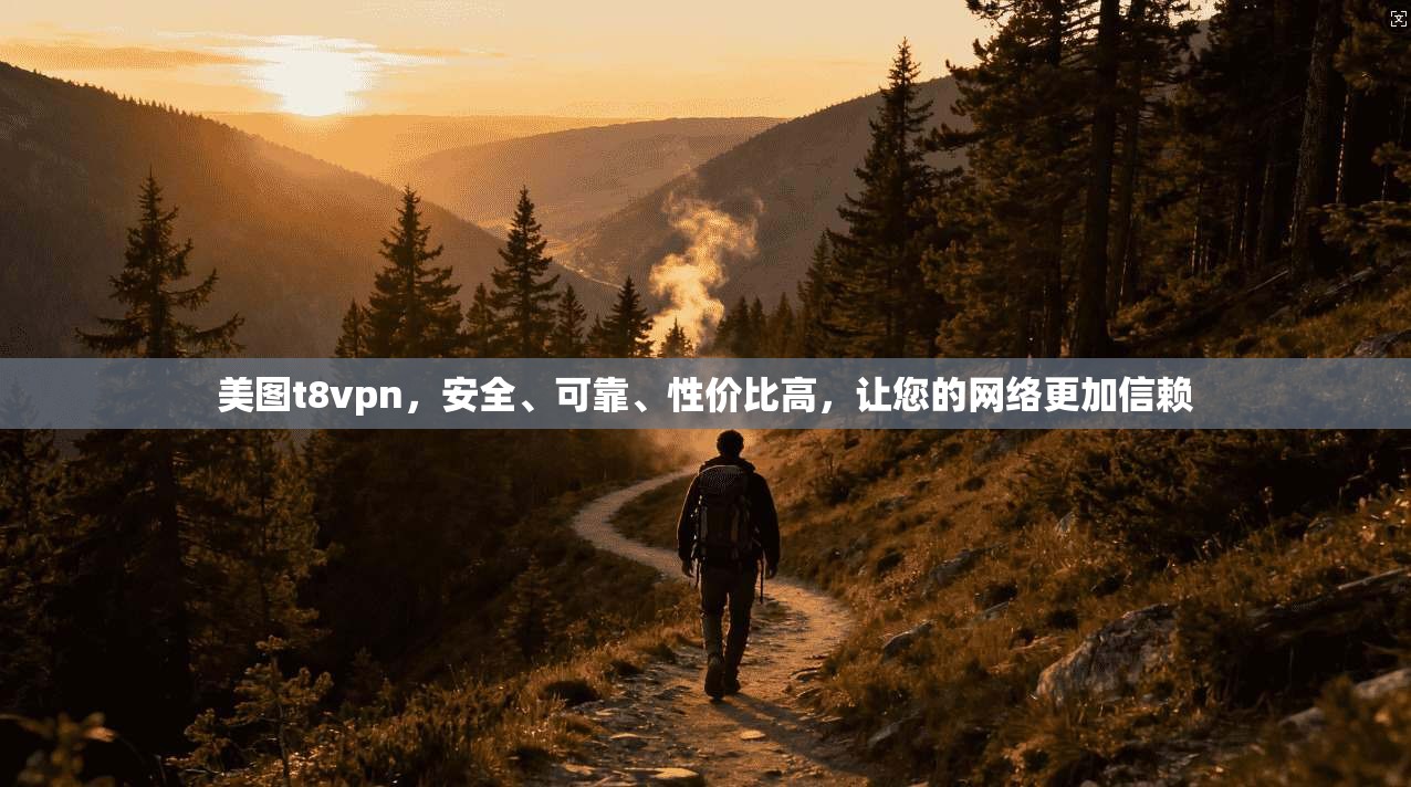 美图t8vpn,安全、可靠、性价比高,让您的网络更加信赖