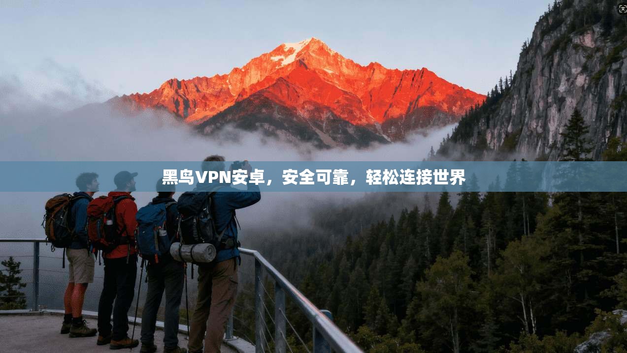 黑鸟VPN安卓，安全可靠，轻松连接世界