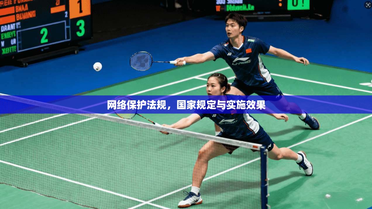 网络保护法规，国家规定与实施效果