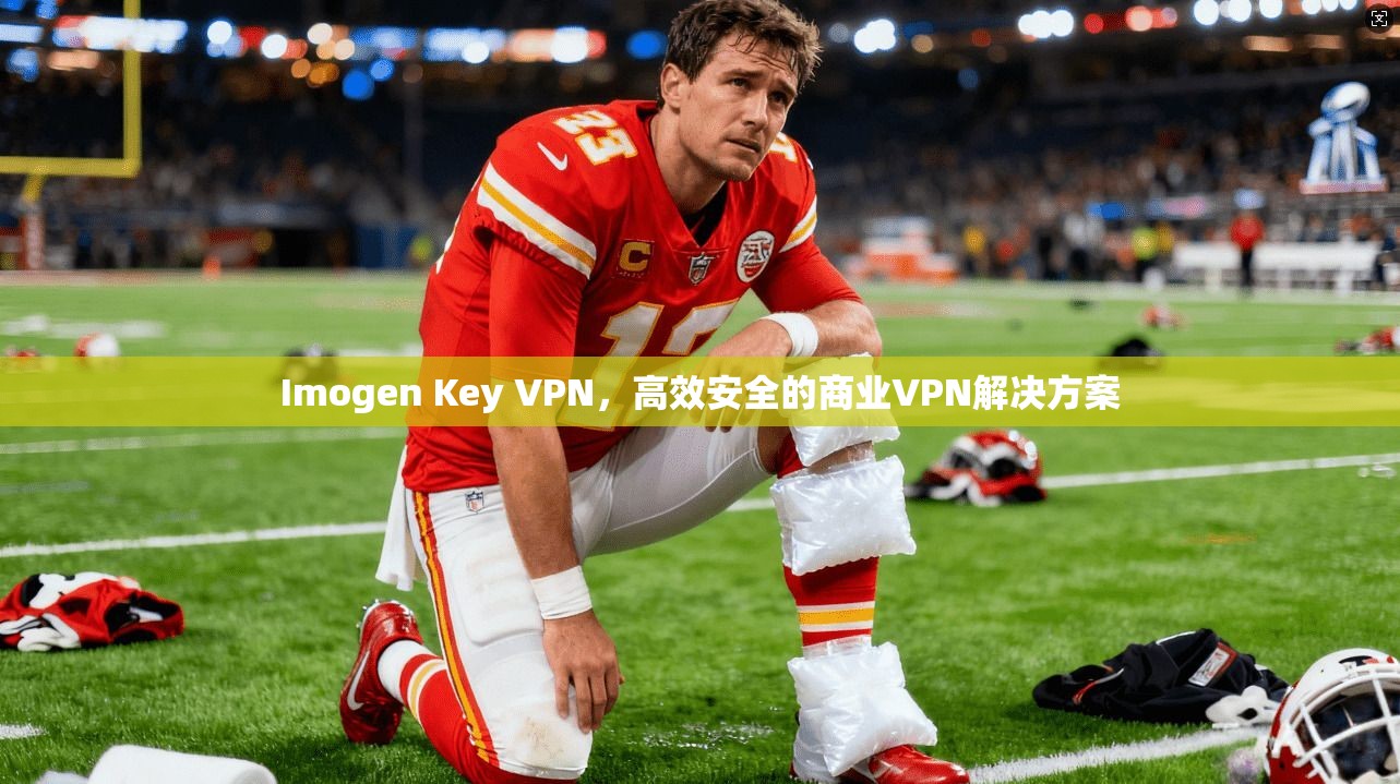 Imogen Key VPN,高效安全的商业VPN解决方案