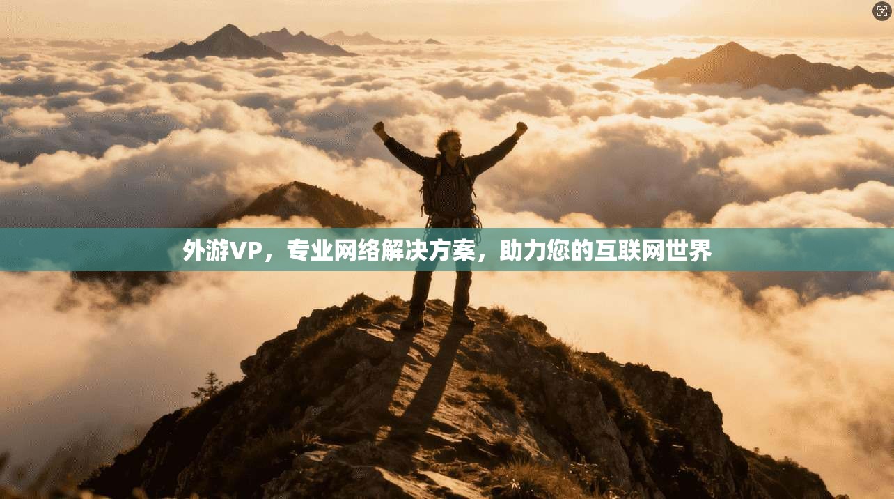 外游VP，专业网络解决方案，助力您的互联网世界