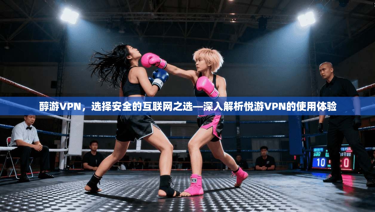 醇游VPN，选择安全的互联网之选—深入解析悦游VPN的使用体验