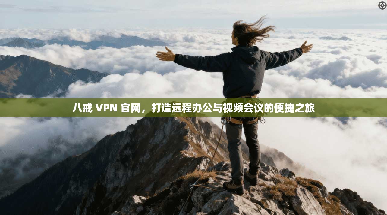 八戒 VPN 官网，打造远程办公与视频会议的便捷之旅