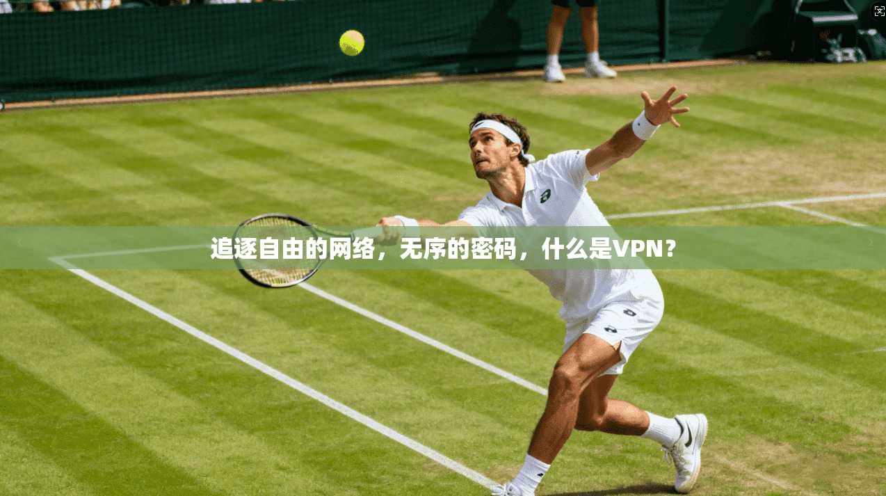 追逐自由的网络,无序的密码,什么是VPN?