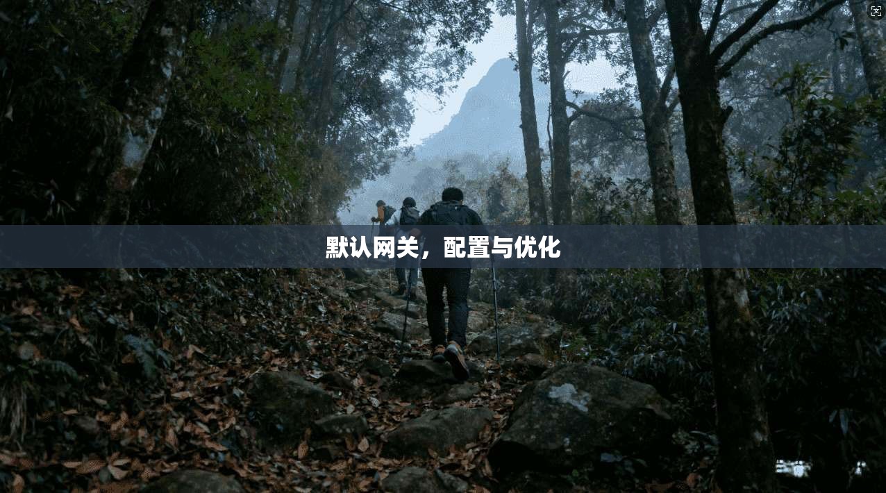 默认网关,配置与优化