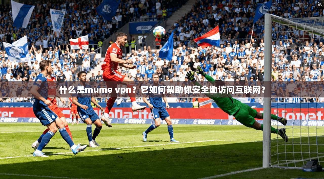 什么是mume vpn？它如何帮助你安全地访问互联网？