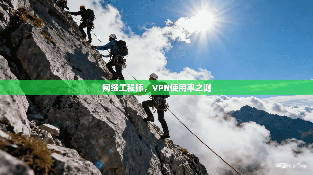 网络工程师，VPN使用率之谜
