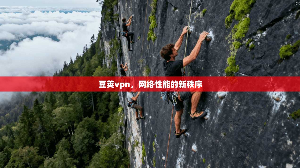 豆荚vpn，网络性能的新秩序