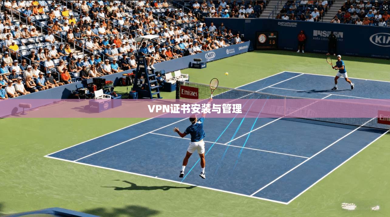 VPN证书安装与管理