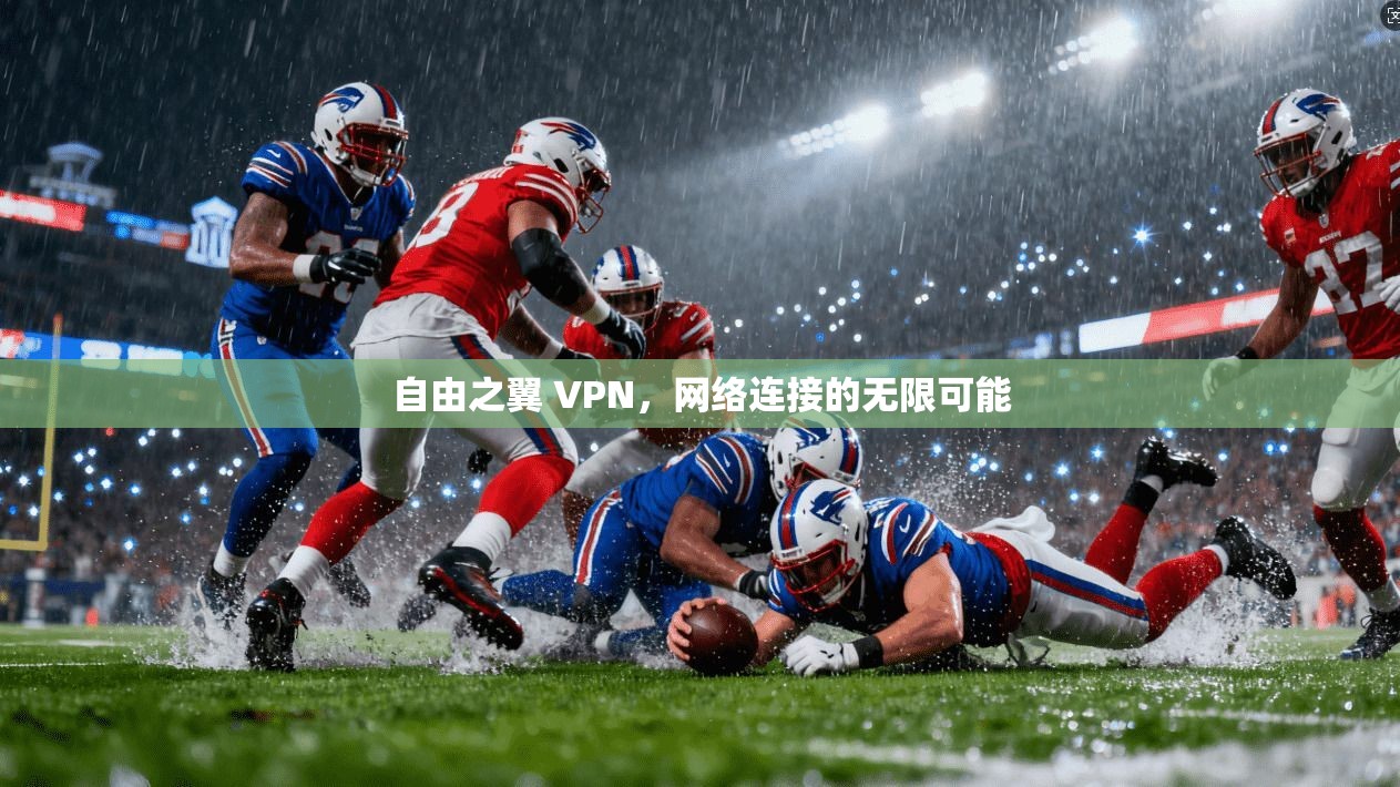 自由之翼 VPN，网络连接的无限可能