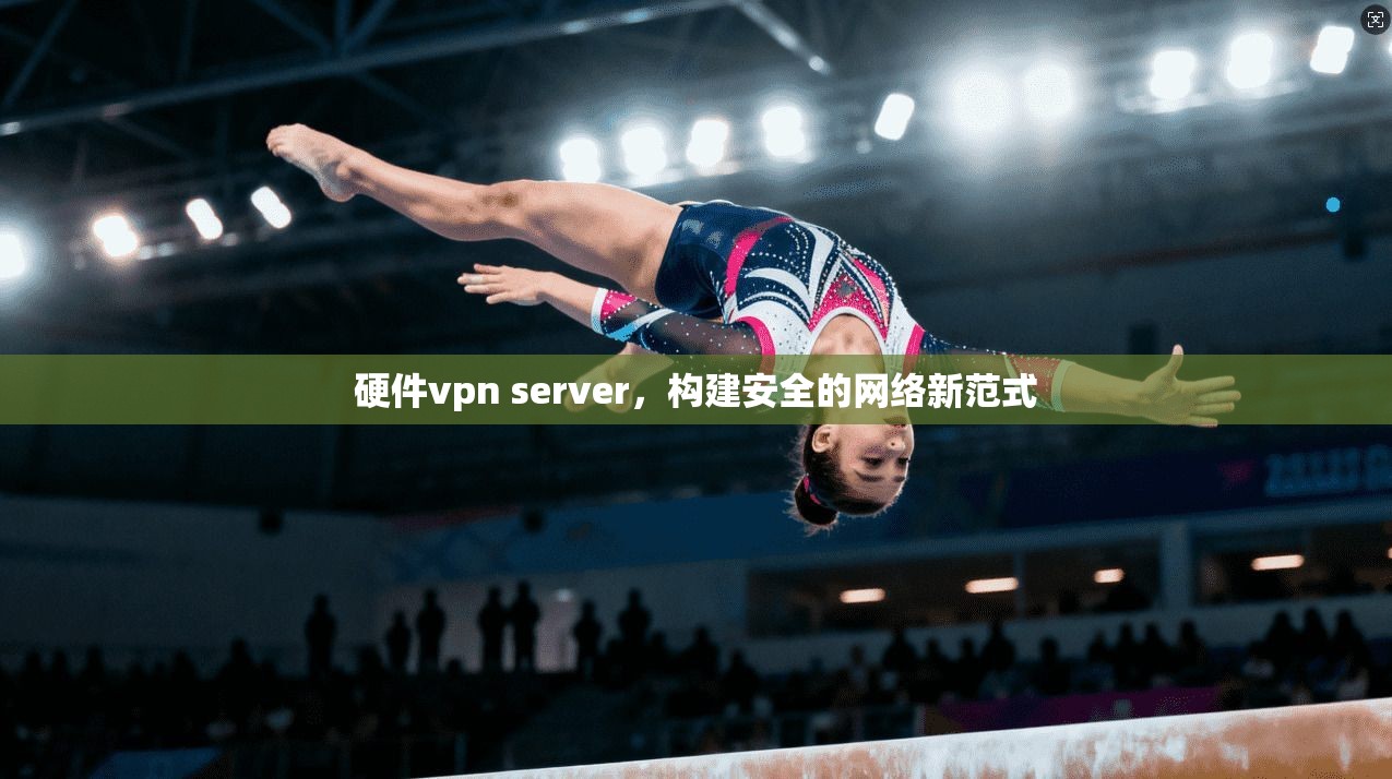 硬件vpn server，构建安全的网络新范式