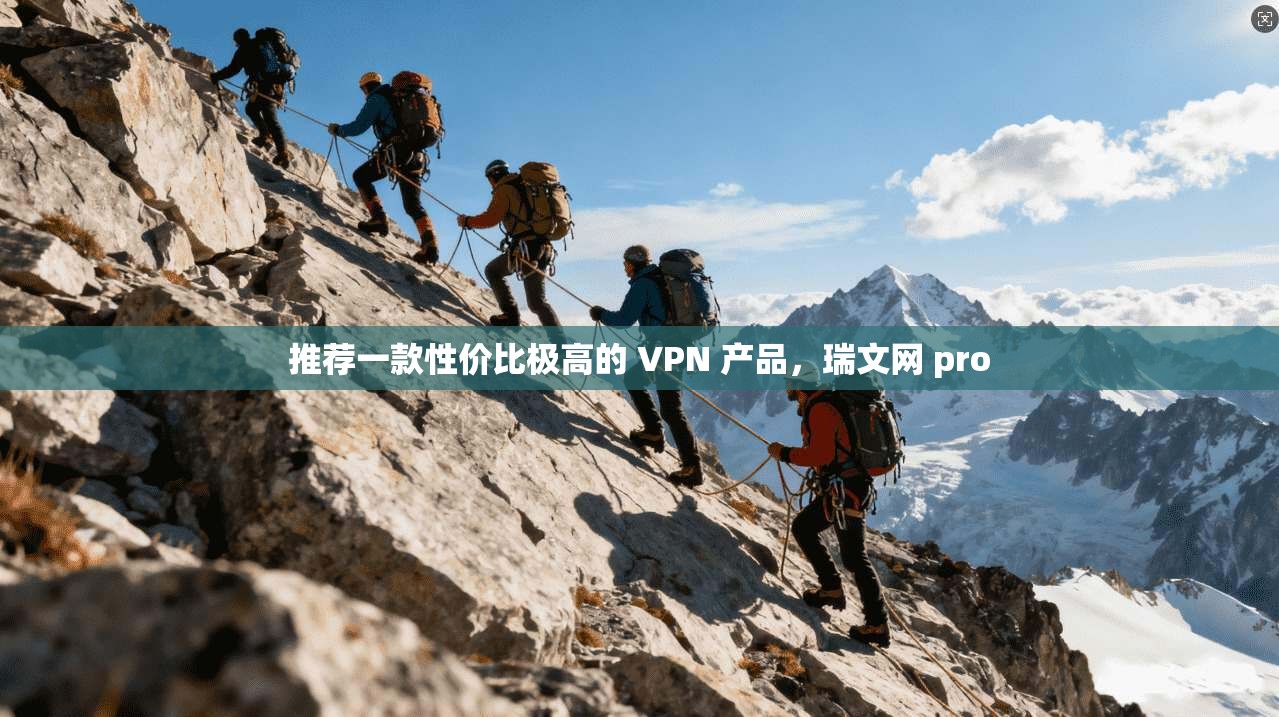 推荐一款性价比极高的 VPN 产品，瑞文网 pro