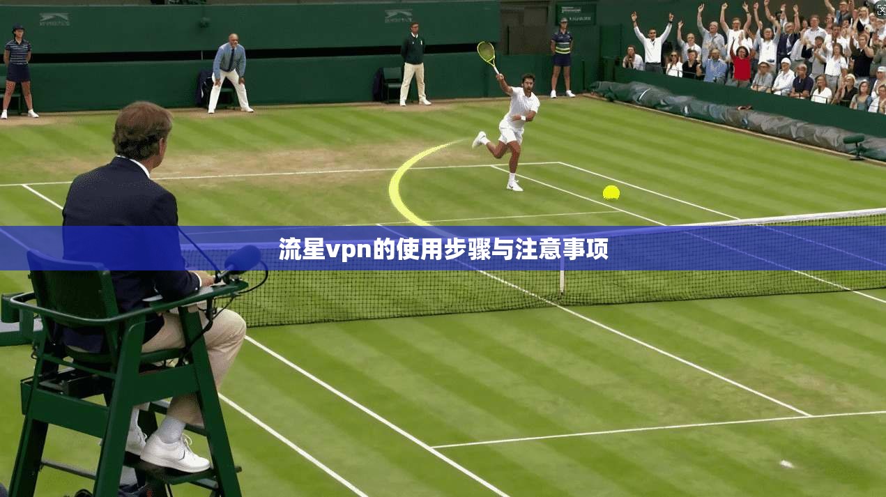流星vpn的使用步骤与注意事项
