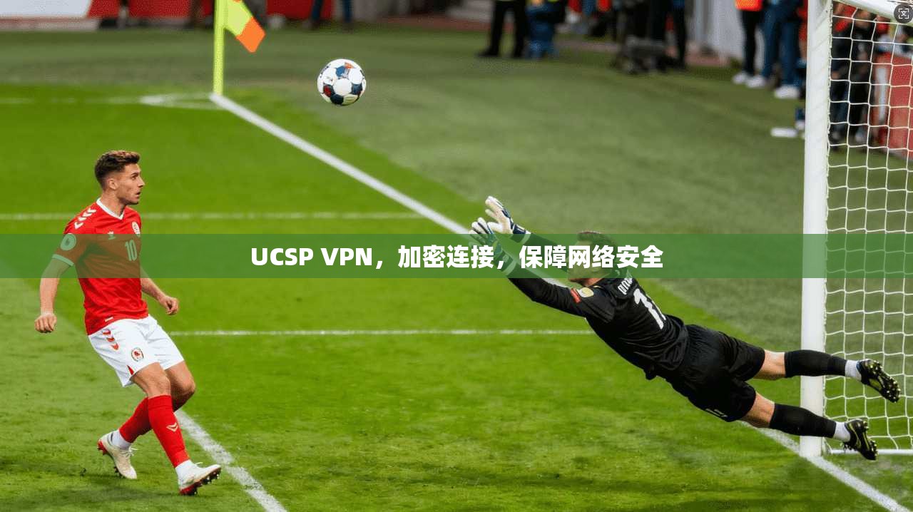 UCSP VPN,加密连接,保障网络安全