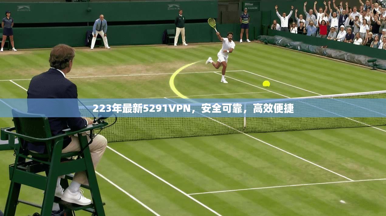 223年最新5291VPN，安全可靠，高效便捷