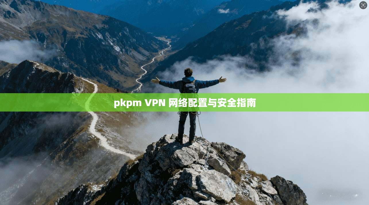 pkpm VPN 网络配置与安全指南