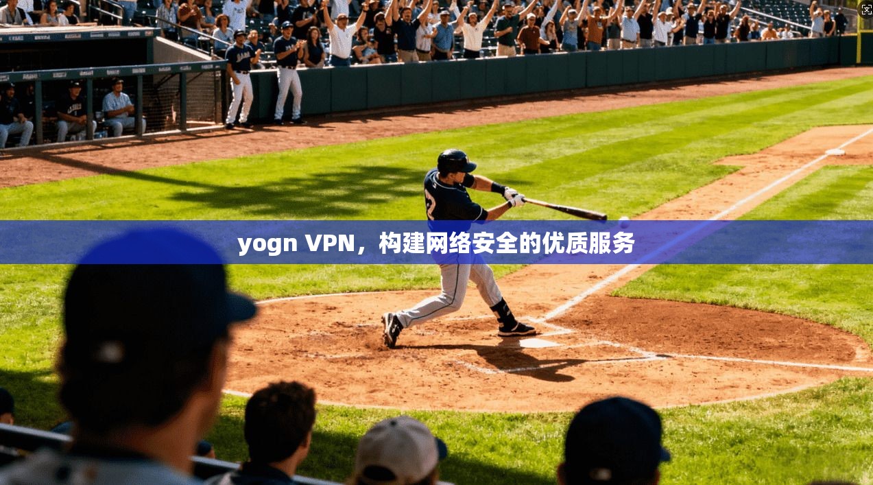 yogn VPN，构建网络安全的优质服务
