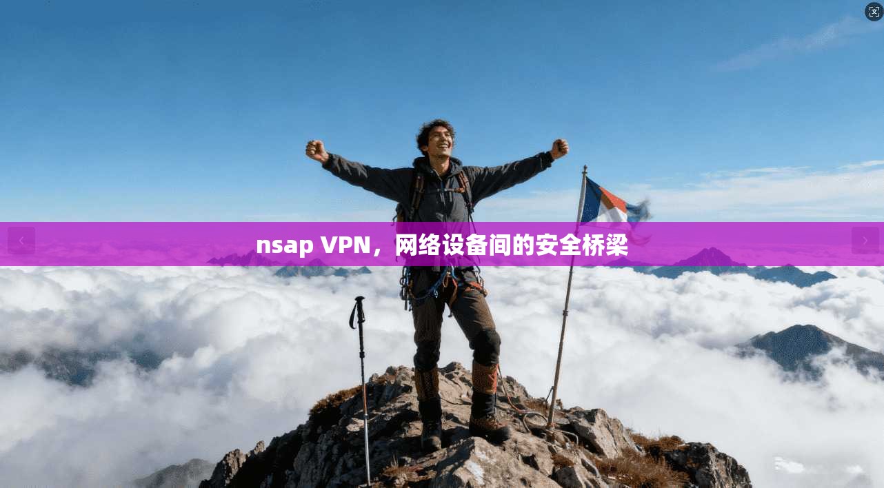 nsap VPN，网络设备间的安全桥梁