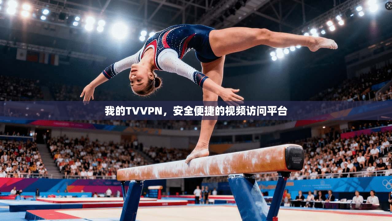 我的TVVPN，安全便捷的视频访问平台