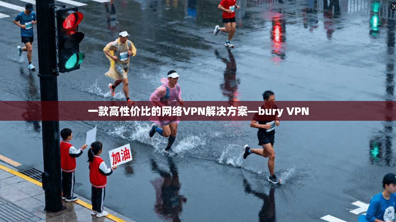 一款高性价比的网络VPN解决方案—bury VPN